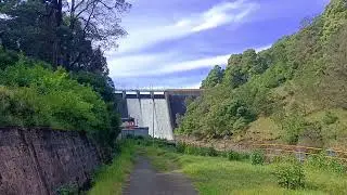 Scenic Car Journey Through Forests and Dam Views | Stock Footage 🌲🚗 #NatureViews #RelaxingVideo