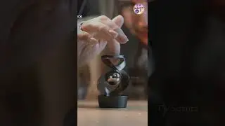Luna kinetic toy | Optical illusion toy