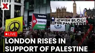 Pro-Palestinian Protest LIVE in London: Crowd hold &ldquo;Stop Arming Israel&rdquo; Placard | NewsX World