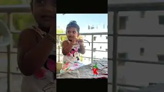 #summervibes #mirchi #pickletime #soulfullmusic #chilliflavours#ytshort#ytshorts #southindianpickles