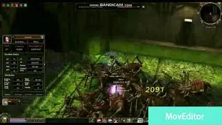 Metin2.nl Road To 75