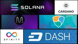 Обзор SOL,ADA,DASH,XEM,ICP,MINA спустя месяц. Медвежий рынок.