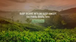 Sleep Organic with Bio Sleep Concept | Eco-Friendly Bedding Items