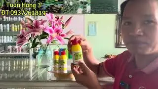 NILMITE 550SC thuốc đặc trị nhện#caytrong#thuocbvtv#nongdan# | TUẤN HẰNG 3