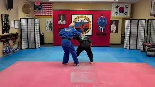 Advanced Armbar Counters from Lock - Sin Moo Ryong Moo Kwan