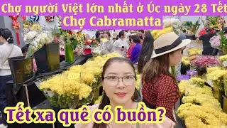 GH&Eacute; THỦ PHỦ NGƯỜI VIỆT LỚN NHẤT Ở &Uacute;C C&Oacute; G&Igrave; VUI | CHỢ CABRAMATTA NG&Agrave;Y 28 TẾT | @chaurichescuocsonguc
