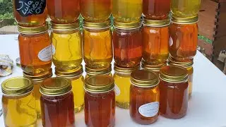 Flow Hive - 1st Harvest Of 2021! #FlowHive