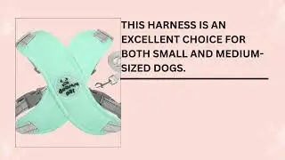 Breathable Reflective Dog Leash &ndash; Adjustable Pet Harness Vest Strap
