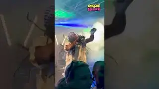 Black Thunder aus Gambia beim Reggae  im Herzen Festival in Radolfzell am Bodensee LIVE