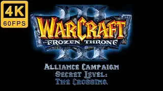 Warcraft 3 The Frozen Throne Walkthrough | Hard | Alliance Campaign | Secret Level: The Crossing