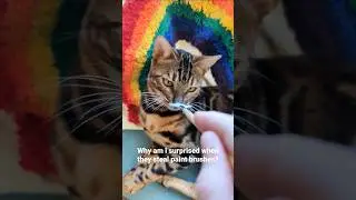 These cats know the struggles of art. #cats #painting #paintbrushes #art #funnycats