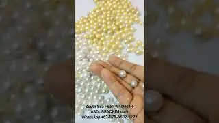 South Sea Pearl Wholesale 👉 WhatsApp +62 878 6502 6222 pearl farm 50