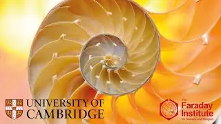 Contingency, Convergence and Hyper-astronomical Numbers in Biological Evolution - Dr Ard Louis