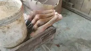 meat shop fresh and higanic meat