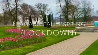 Niagara Falls Spring (LockDown)