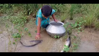 Amazing Village fish catching Little Girl Smart Girl Fishing