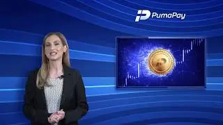 PumaPay News - Settlement Layer Explained