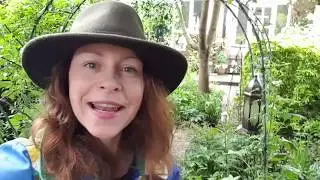 What is trench composting and how to do it