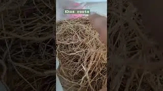 khus roots #ruhkhus #khus
