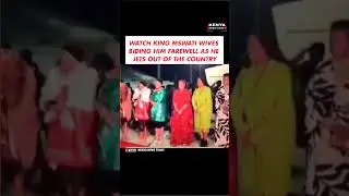 WATCH KING MSWATI WIVES BIDING HIM FAREWELL AS HE JETS OUT OF THE COUNTRY #kingmswati