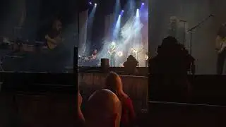 David Gray Dublin