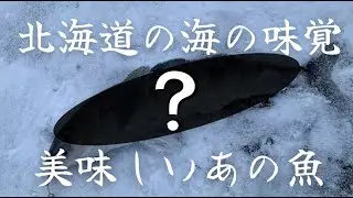 【北海道釣り】北の海の味覚を釣り上げろ！