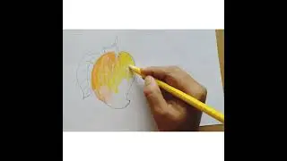 How to Draw A Mango Step by Step | Easy Draw &  Glass Marker color Tutorial |