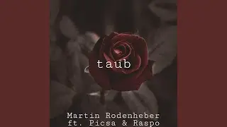 taub