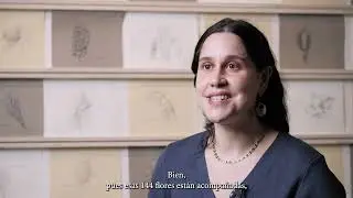 Historia y misterio de una colección: Museo de Arte Contemporáneo