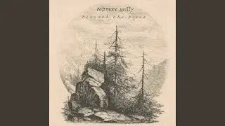 Beneath the Pines
