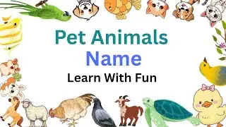 Pet Animals Name part 1 Learn With Fun by Nuri Fun learning 