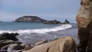 Harris Beach State Park