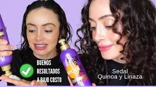 Me sorprendió el resultado en mi cabello rizado | Sedal Quinoa y Linaza NUEVO