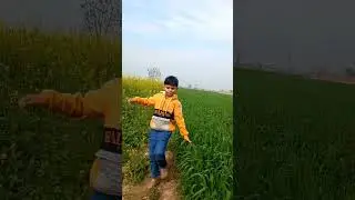 Beautiful crop fields #green green every where #Respect Farmers
