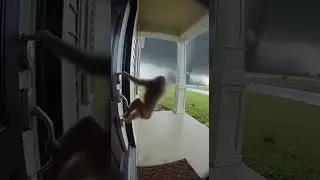 Monkey Fights Tornado On Porch!