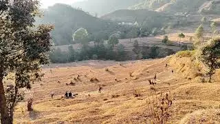#vlog 