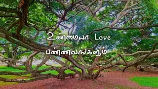 செத்துடலாம் போல இருக்கு😭- Love failure quotes Tamil | sad love | breakup pain 🥺| Pain #quotesintamil
