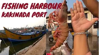 Fishing Harbour -- KAKINADA PORT