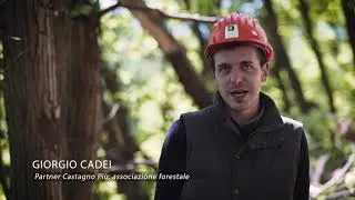 La cooperazione forestale in Piemonte