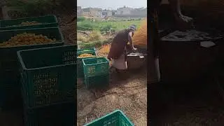 Chhuhara Making Process: Step 2 #shorts