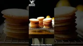 Thin & Crispy Cookies Machine,Cat&rsquo;s Tongue Cookies Machine,Tuile Biscuit Machine#whitelovers#COOKIES
