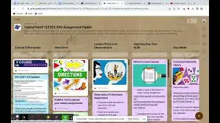 UDL Principles 8.3. and 8.4