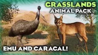 Emu and Caracal Reveals! | Grasslands Animal Pack | Planet Zoo News