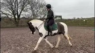 Advert reference - 399877