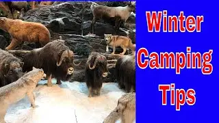 Cold Weather Camping - Thing you must know about your camper