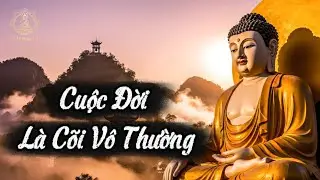 Đừng Đợi Mất Mới Thương | Bài Giảng Phật Dạy Về Cuộc Đời Là Cõi Vô Thường