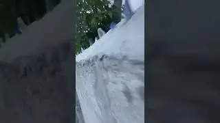 Army security system fir wall