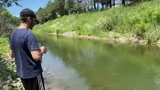 Drainage ditch multi species catches #fishing #michigan #creekfishing #spillway #outdoors