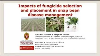 At-plant disease control strategies in snap bean