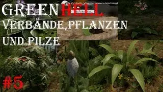 GREEN HELL | VERB&Auml;NDE, PFLANZEN, PILZE | WAS IST GUT UND WAS SCHLECHT | GERMAN #5